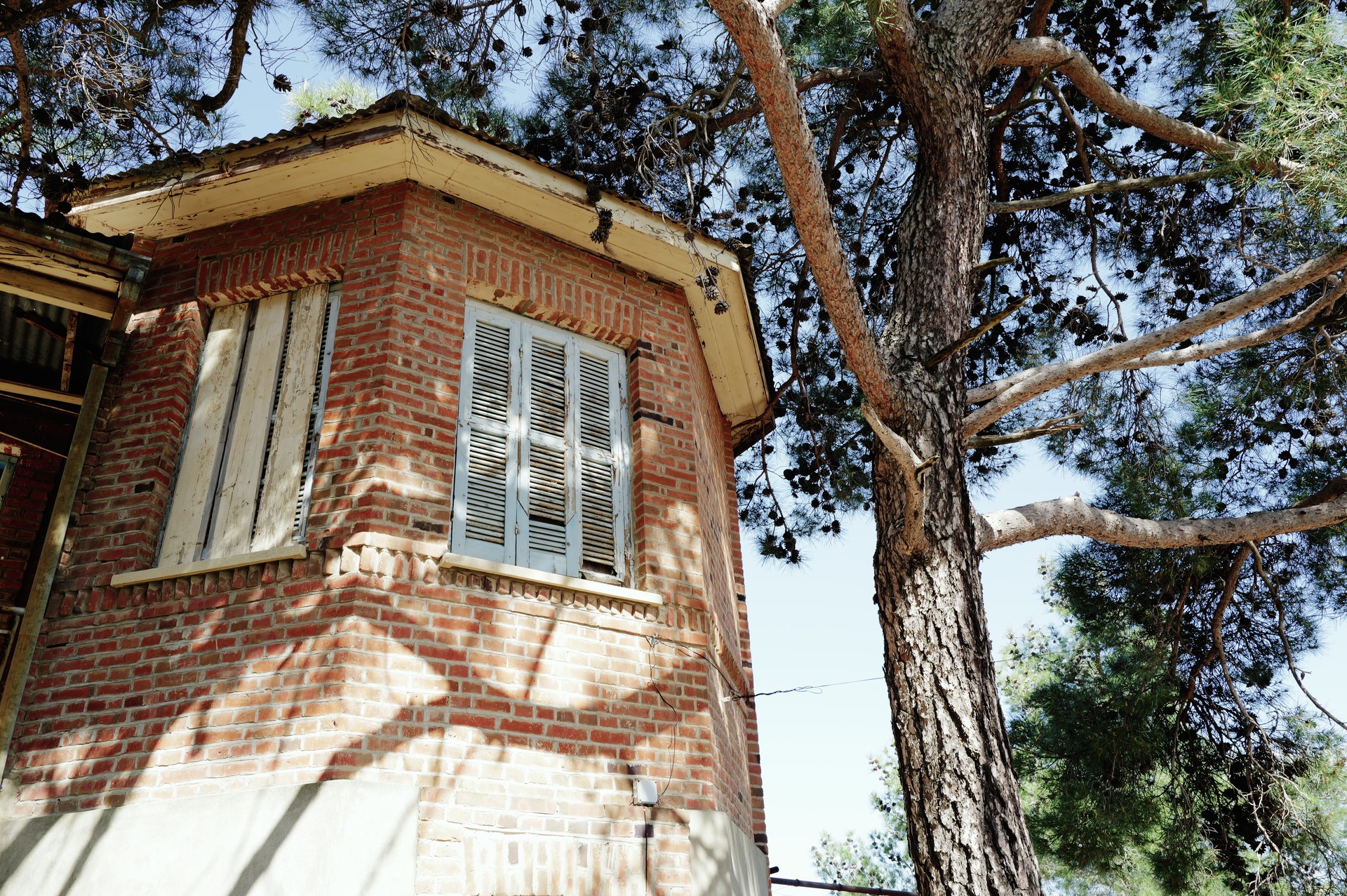 Colonial House in the Pines