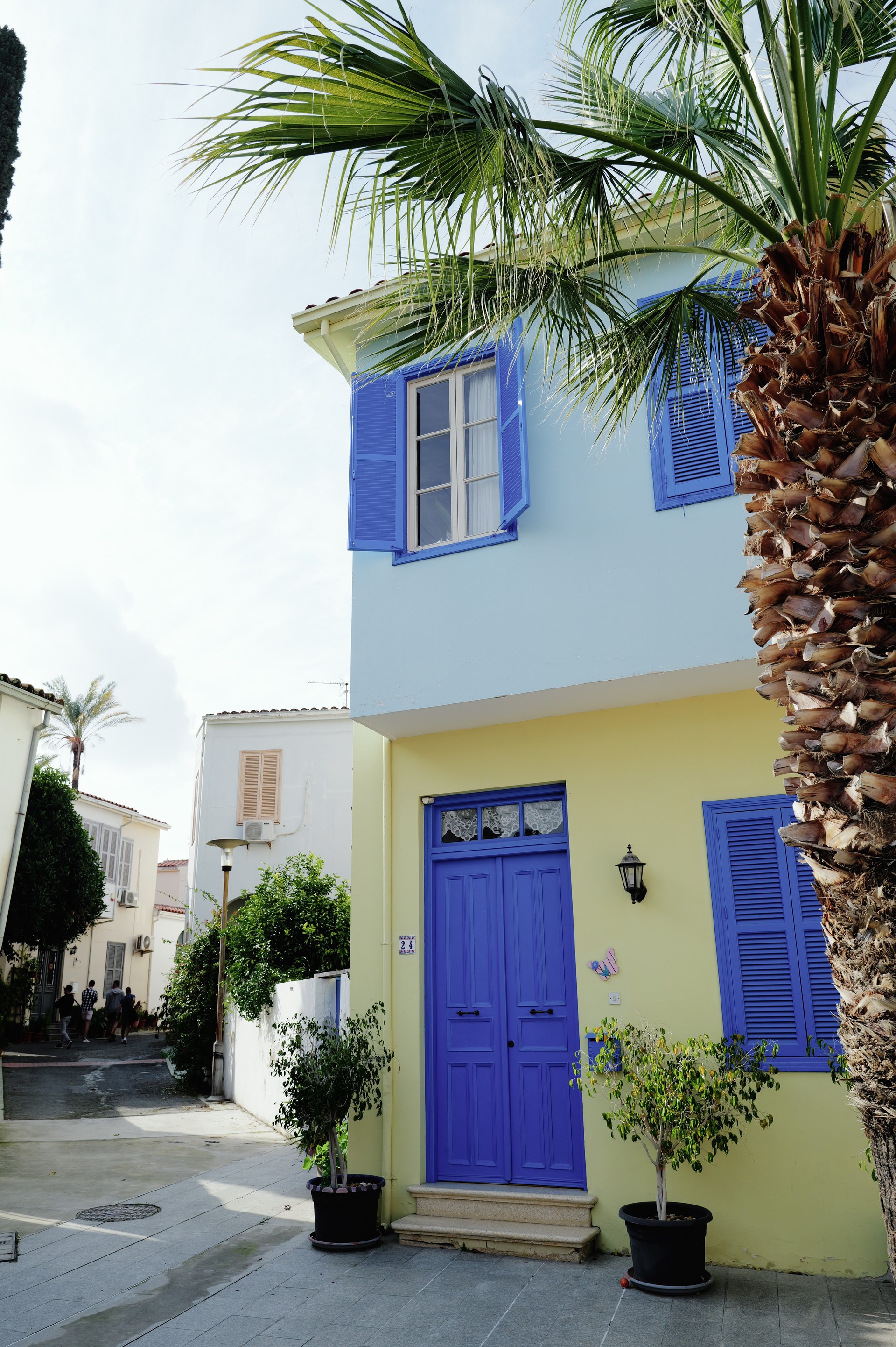 Blue Door and Palm