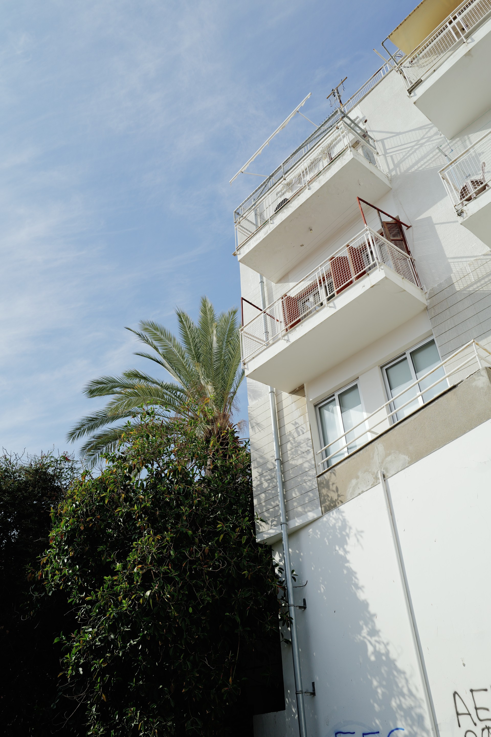 Apartment and Palm
