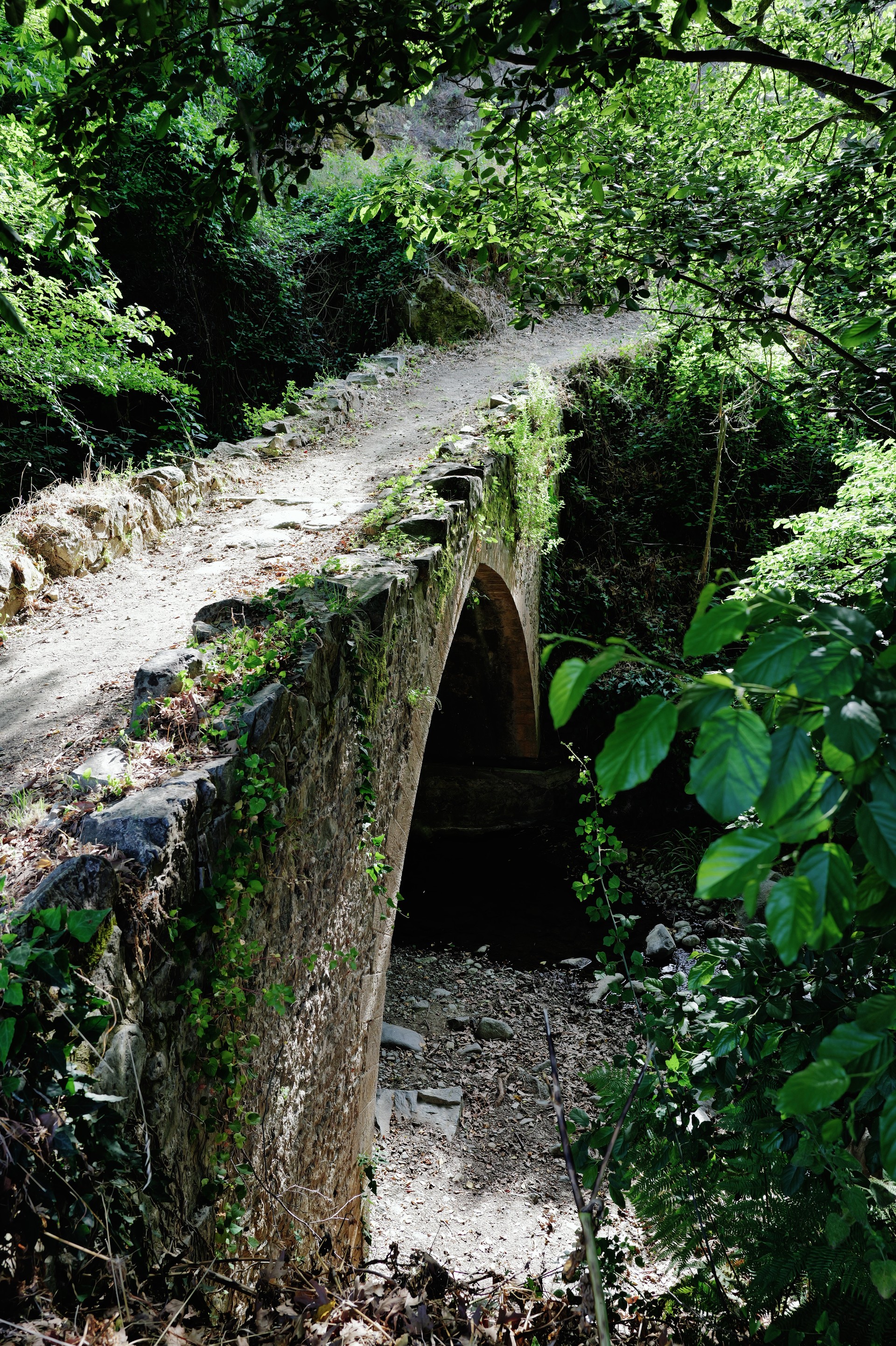Venetian Stone Bridge