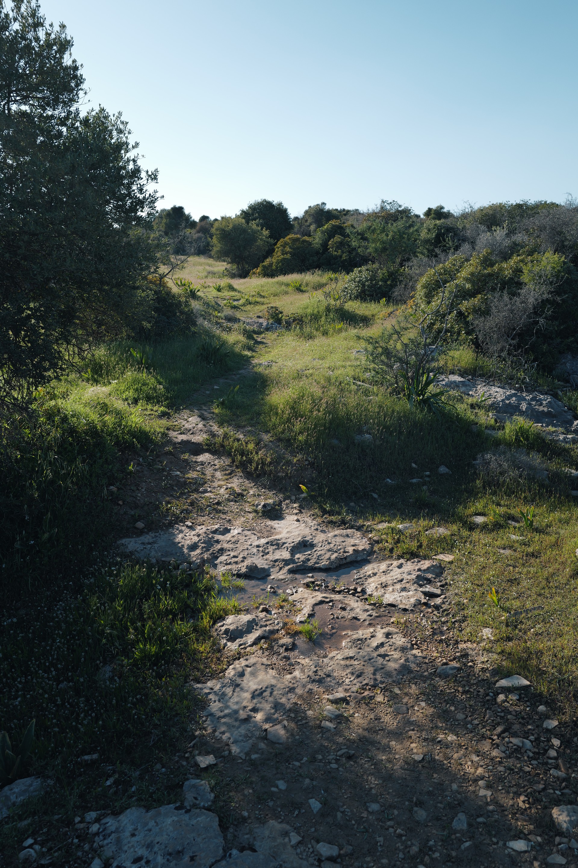 Rocky Trail