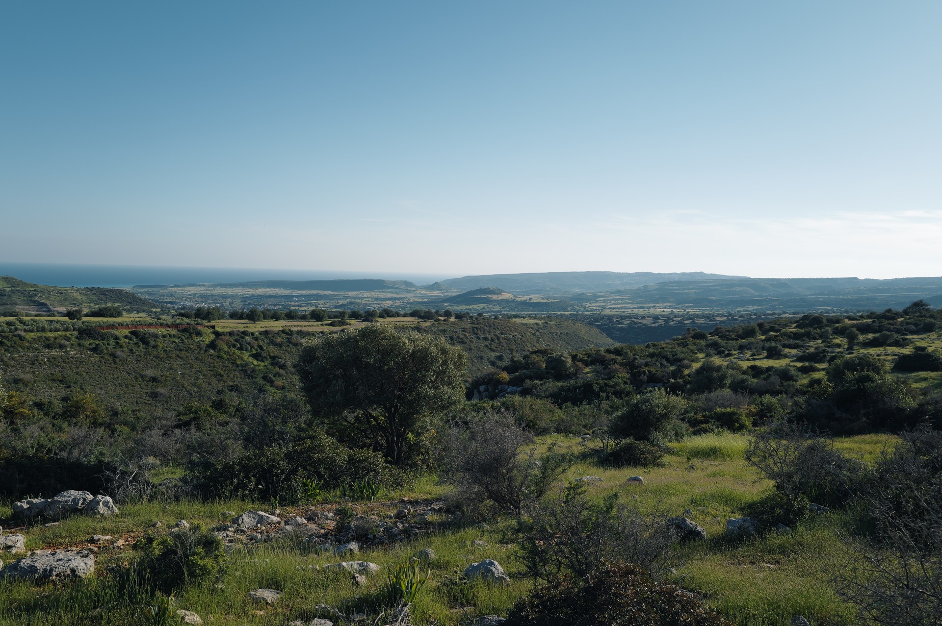Green Hills to the Sea