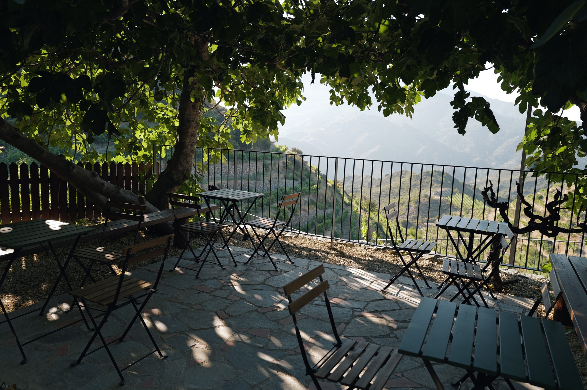 Terrace in the Shade