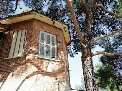 Colonial House in the Pines