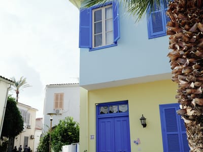 Blue Door and Palm