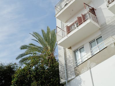 Apartment and Palm