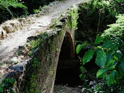 Venetian Stone Bridge