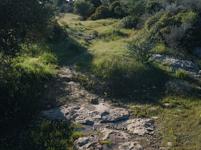 Rocky Trail