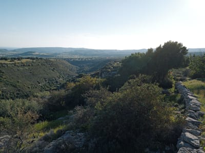 Valley Overlook