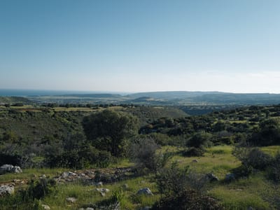Green Hills to the Sea
