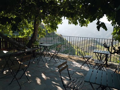 Terrace in the Shade